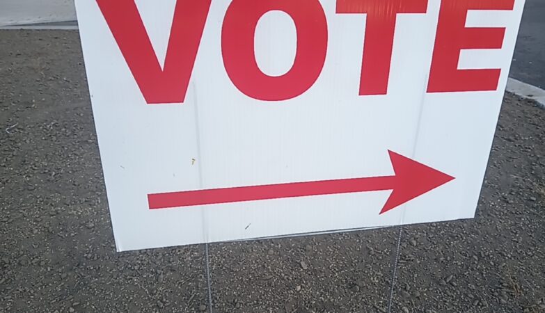 Vote sign